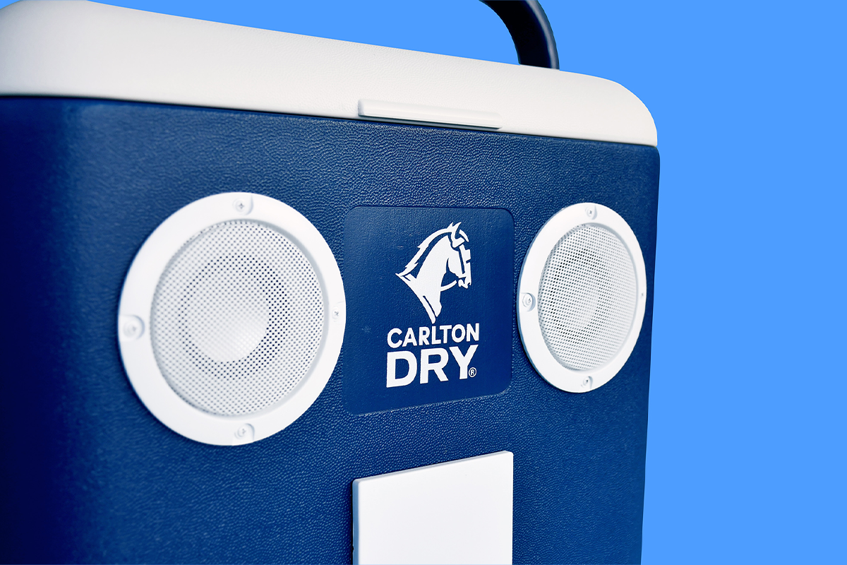 Carlton Dry Esky