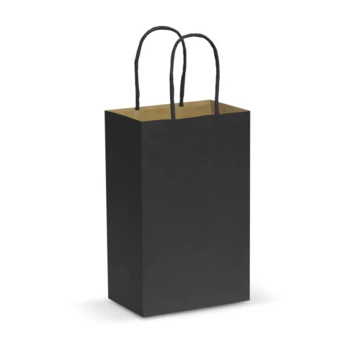 Laminated Carry Bag – Small