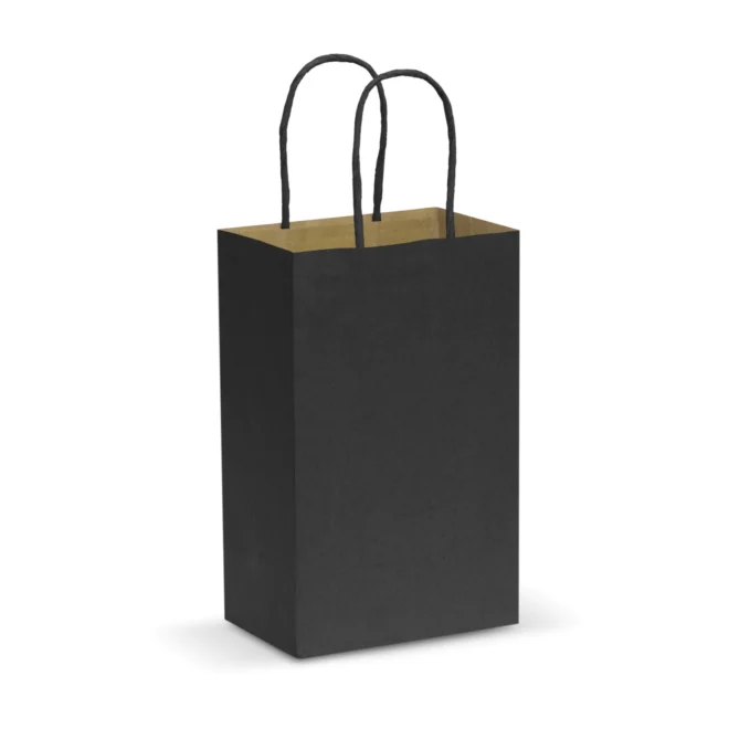 Paper Carry Bag β Small