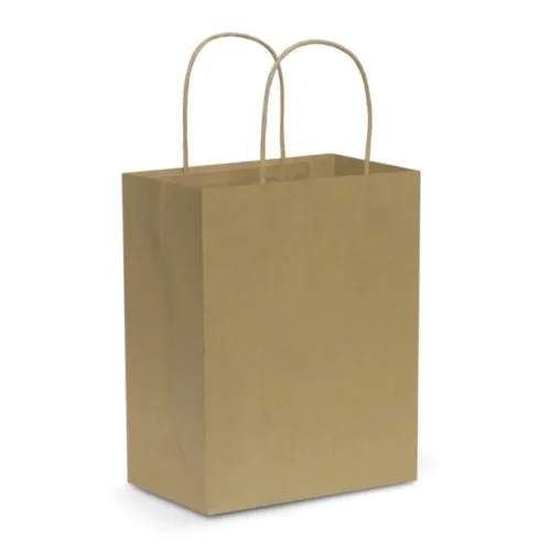Laminated Carry Bag – Small