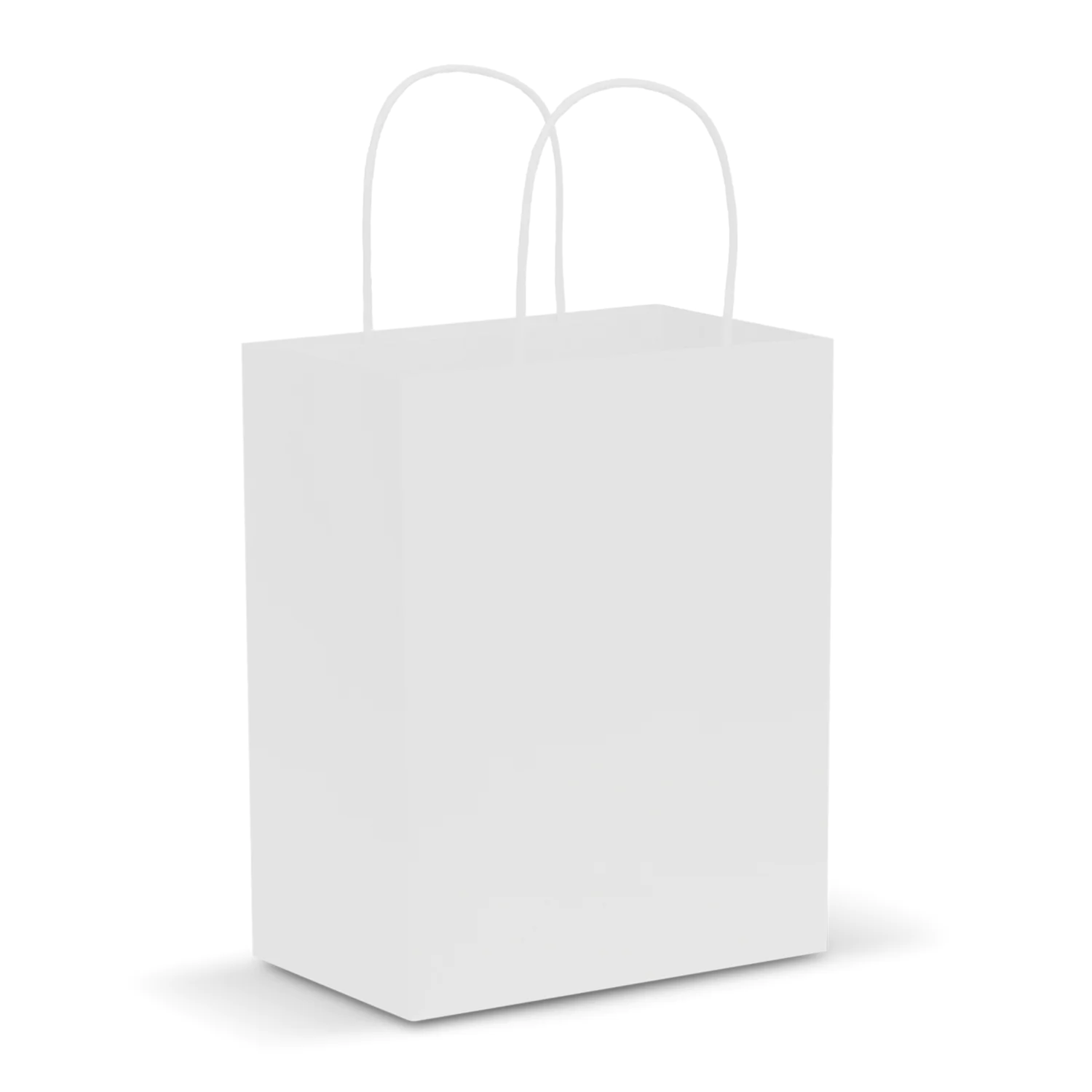 Paper Carry Bag – Medium