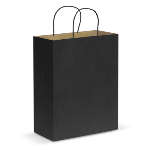 Laminated Carry Bag – Small
