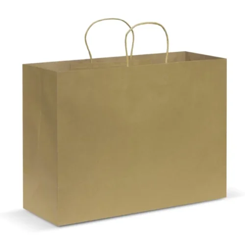 Laminated Carry Bag – Small