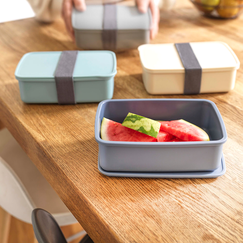 Seasons Dovi 800 ml Lunch Box