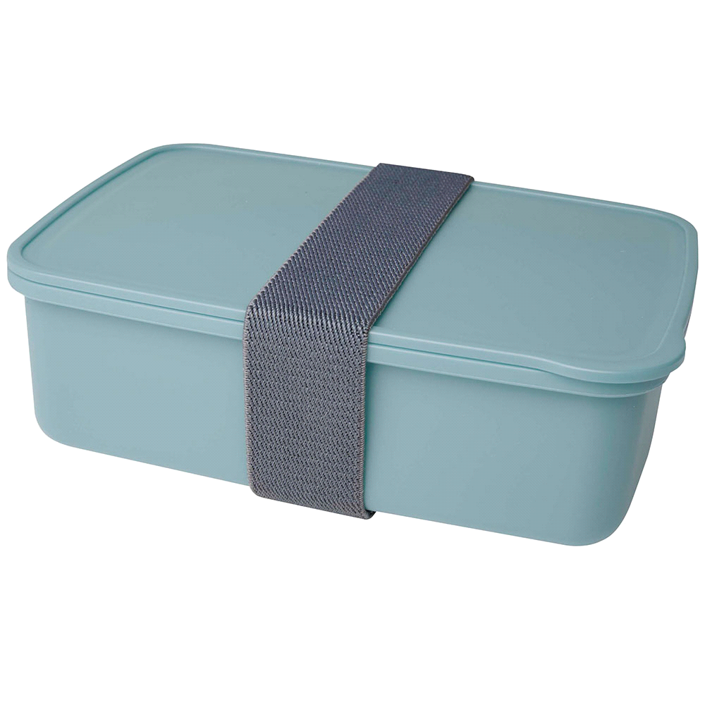 Seasons Dovi 800 ml Lunch Box