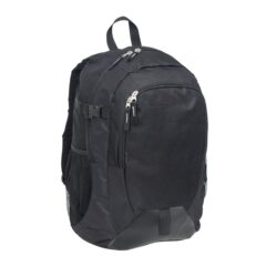 Boost Laptop Backpack
