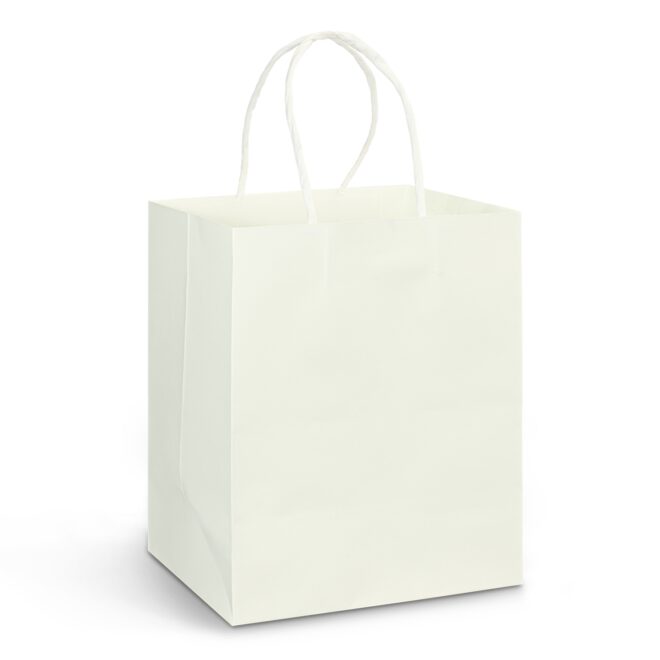 Medium Paper Carry Bag – Full Colour