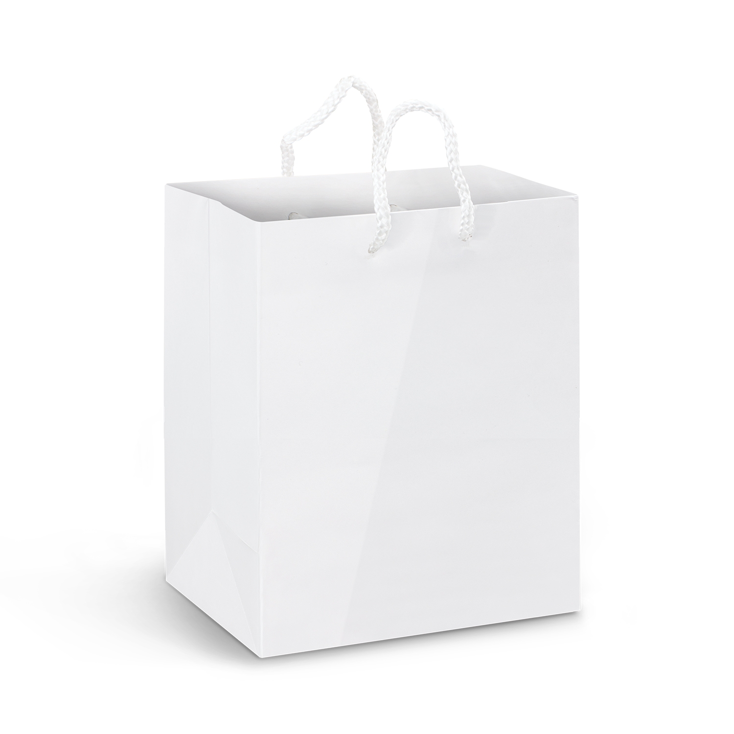 Medium Laminated Paper Carry Bag – Full Colour