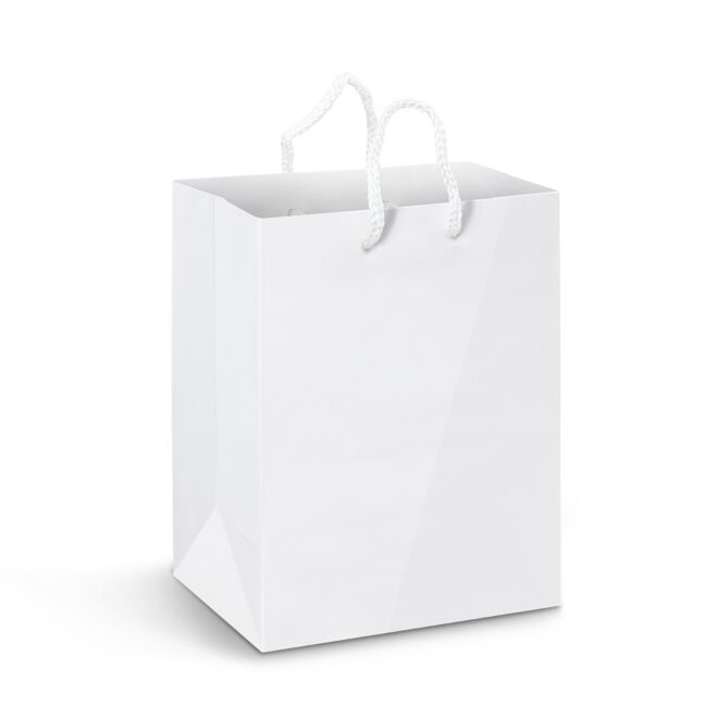 Large Laminated Paper Carry Bag – Full Colour