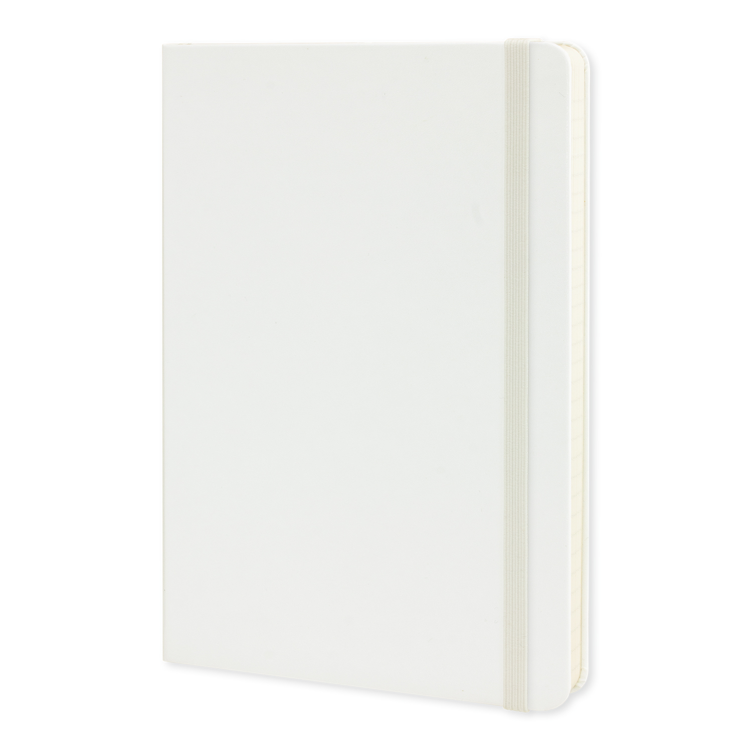 Moleskine Classic Hard Cover Notebook – Large