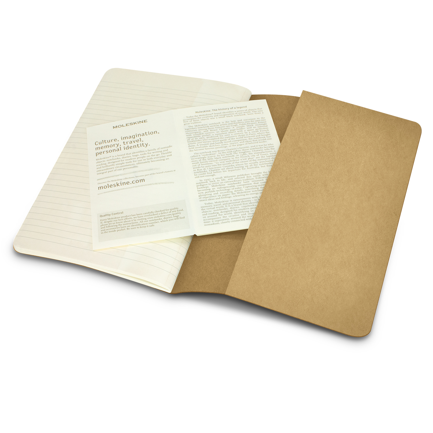 Moleskine Classic Cahier Journal