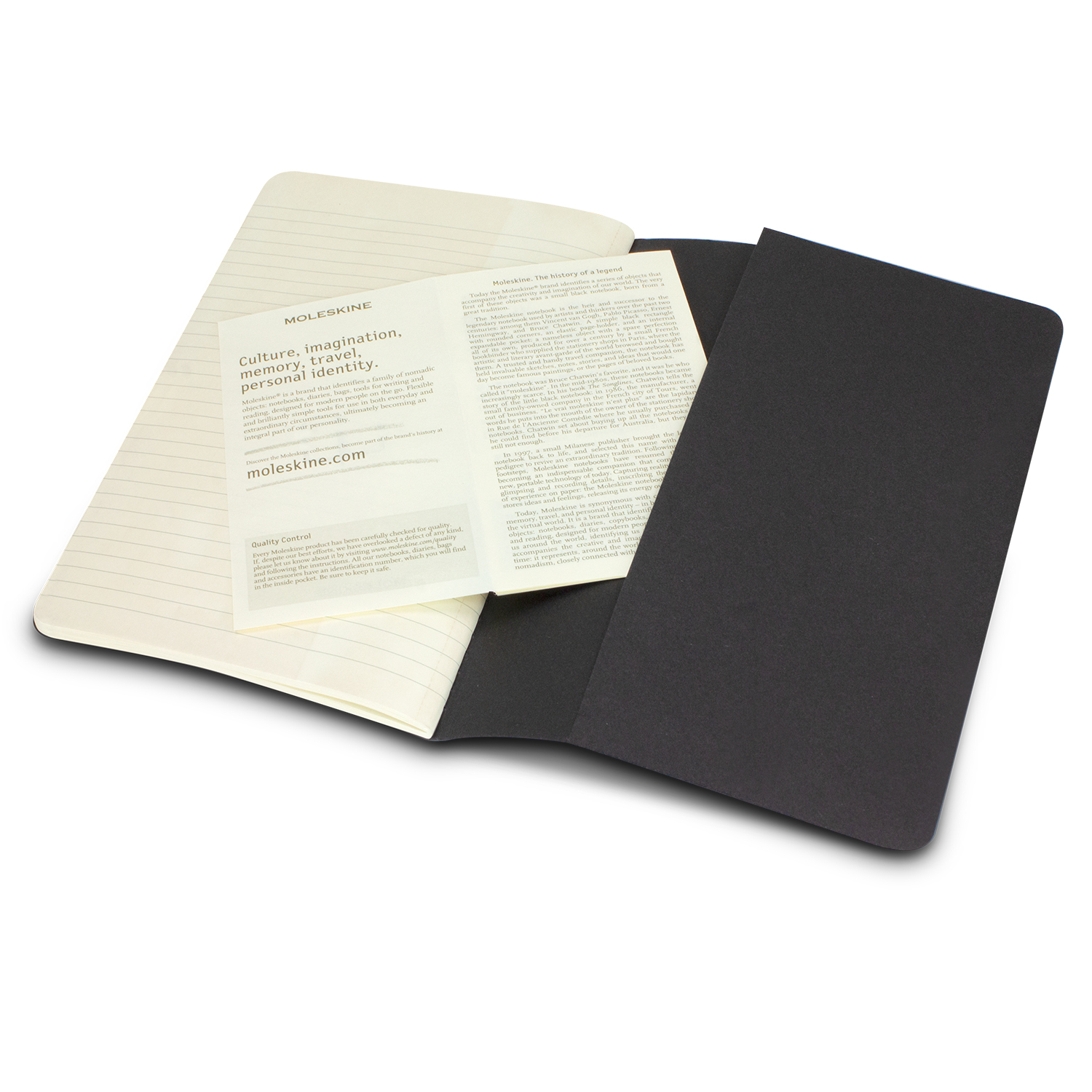 Moleskine Classic Cahier Journal
