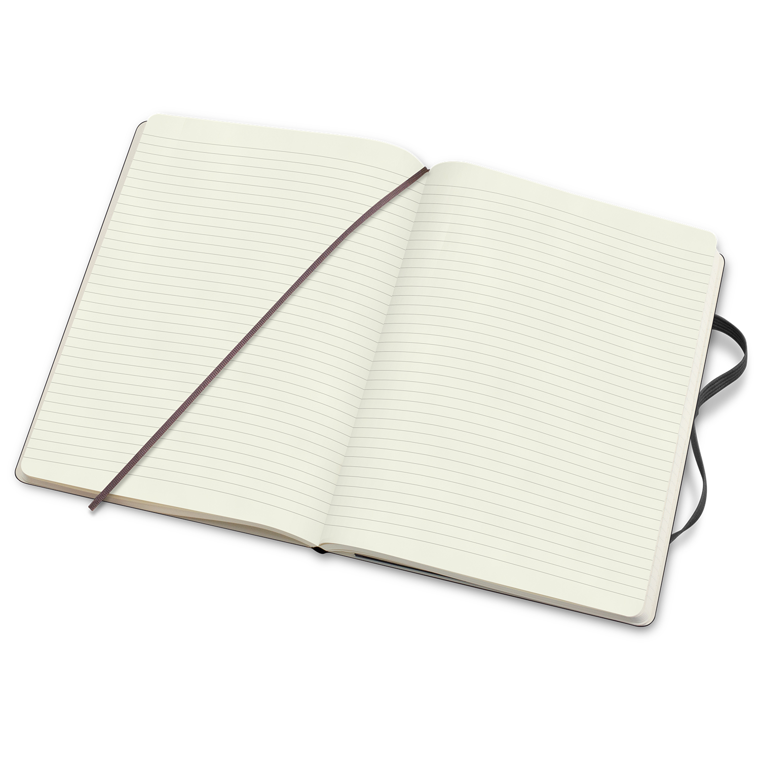 Moleskine Classic Soft Cover Notebook – Extra Large