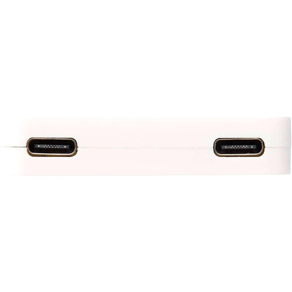 Gaia 4-Port USB Hub w/ USB-A & Type-C Output & Dual Input