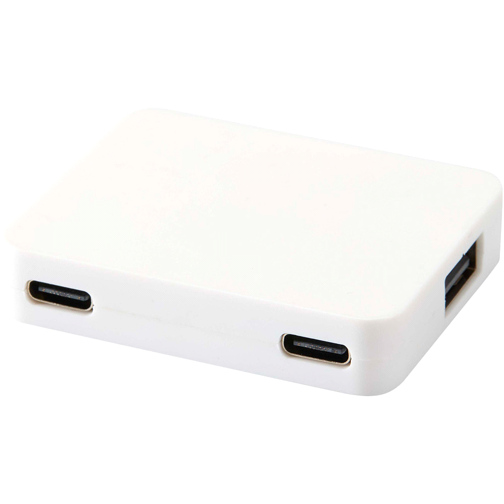 Gaia 4-Port USB Hub w/ USB-A & Type-C Output & Dual Input