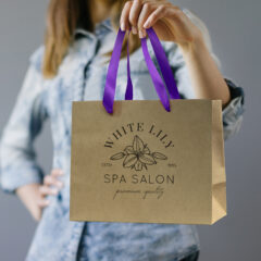 Premium Paper Bag with Ribbon Handles