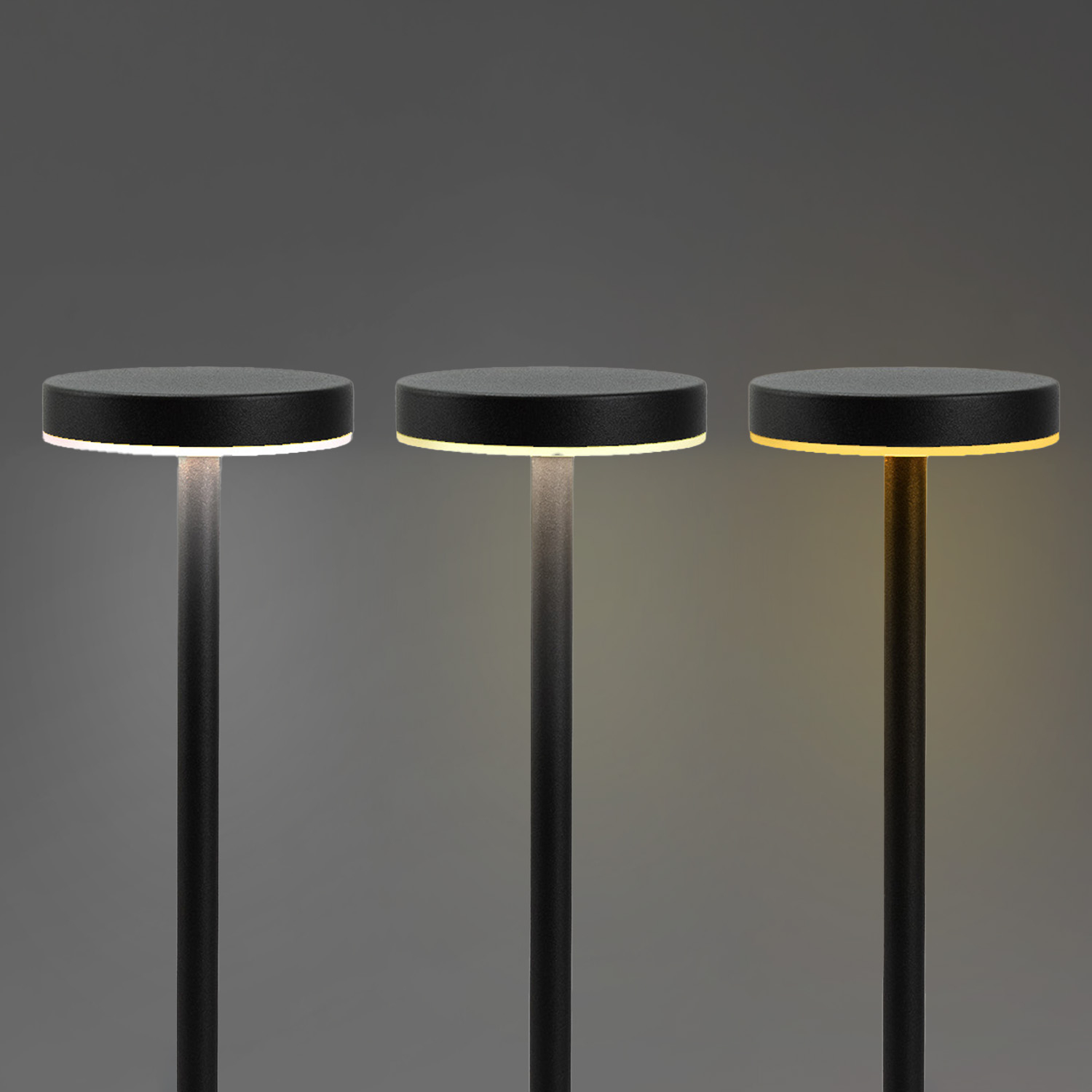 Nouveau Rechargeable Table Lamp
