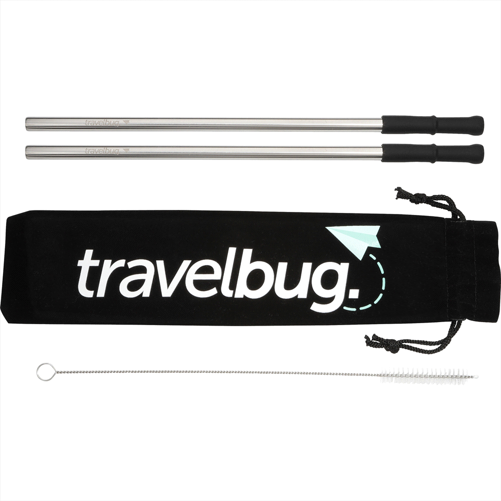 Reusable Stainless Steel Straw Set w/ Brush