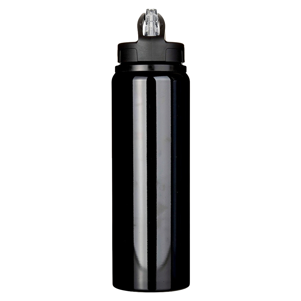 Fitz Recycled Stainless Steel Drink Bottle 800ml
