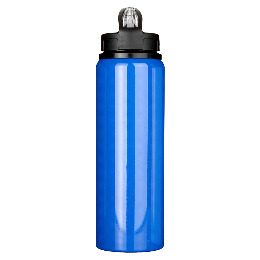 Fitz Recycled Stainless Steel Drink Bottle 800ml