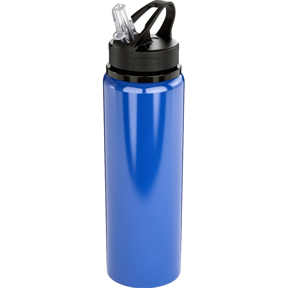 Fitz Recycled Stainless Steel Drink Bottle 800ml