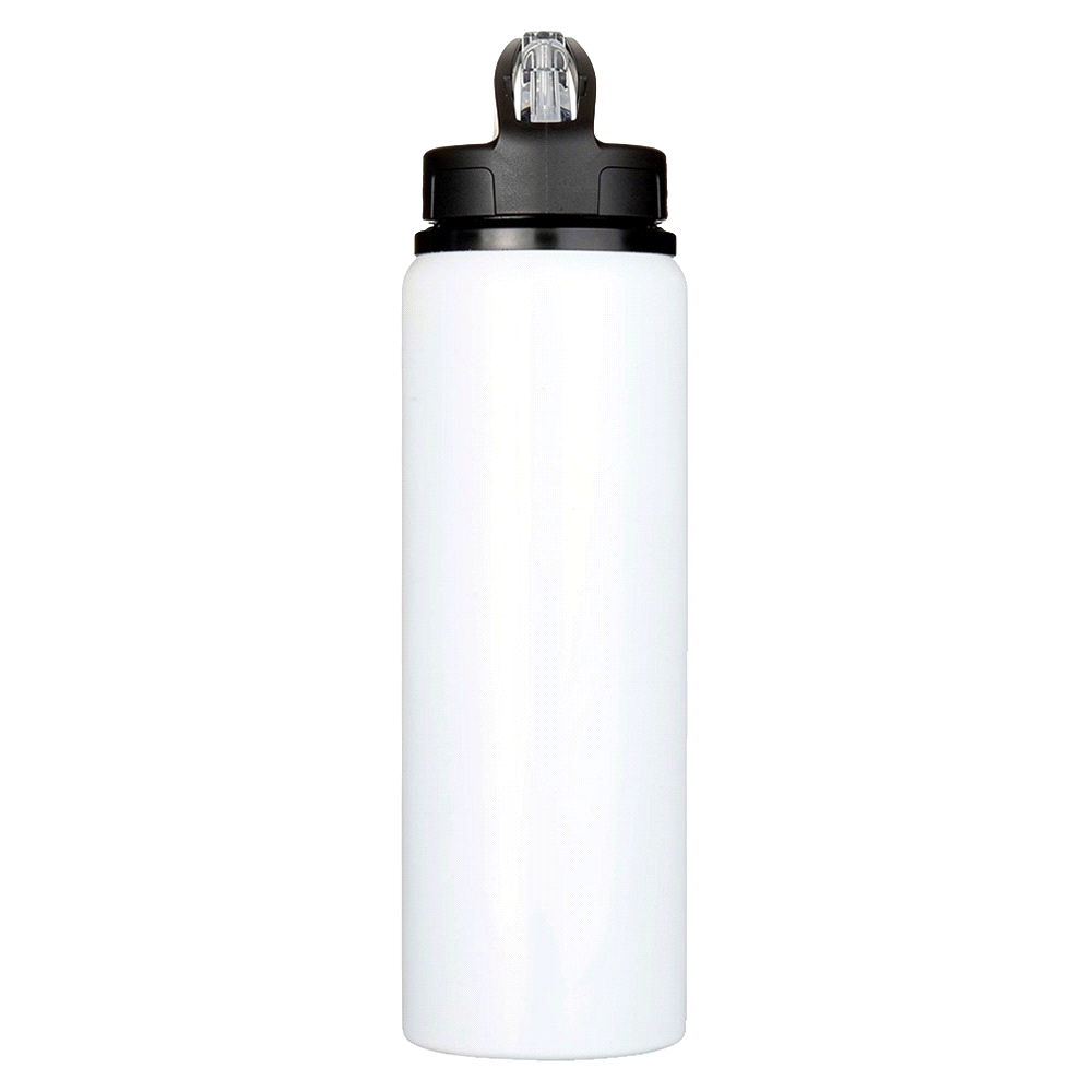 Fitz Recycled Stainless Steel Drink Bottle 800ml