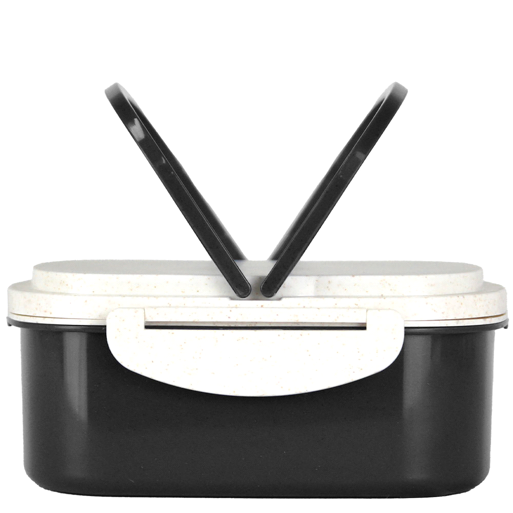 Plastic & Wheat Straw Lunch Box