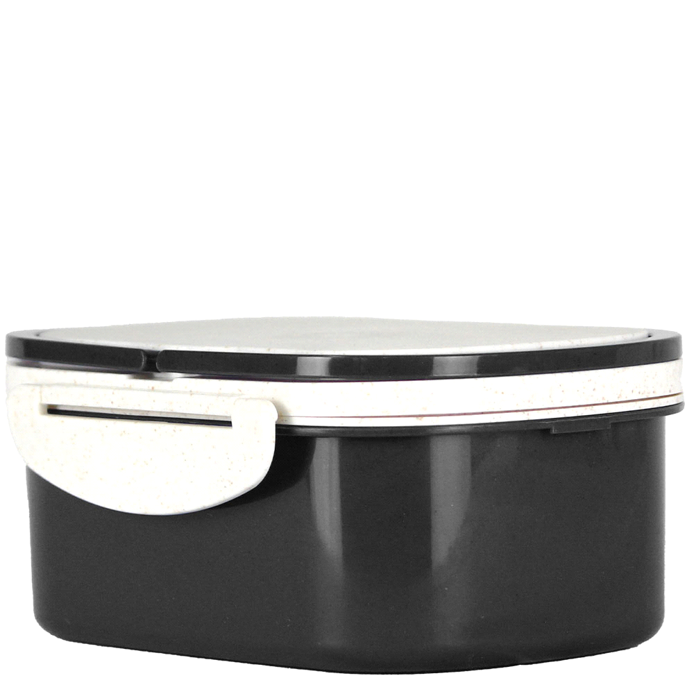 Plastic & Wheat Straw Lunch Box