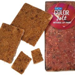 Premium Chocolate Freeze Dried Strawberries 100g
