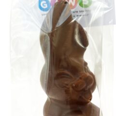 Easter Bunny with Header Card