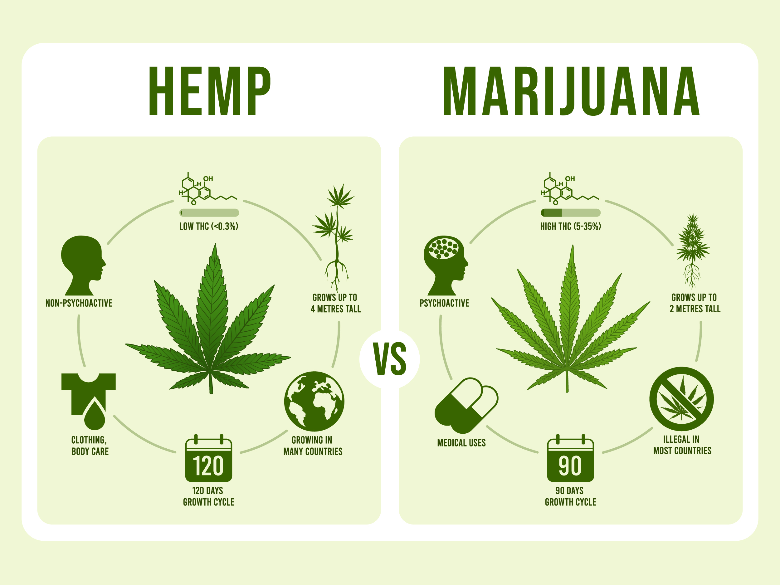 Hemp_differences_marijuana_infographic