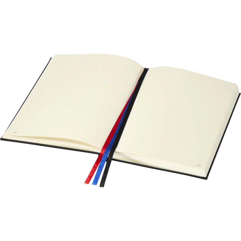 JournalBook Alder 365 Page Diary