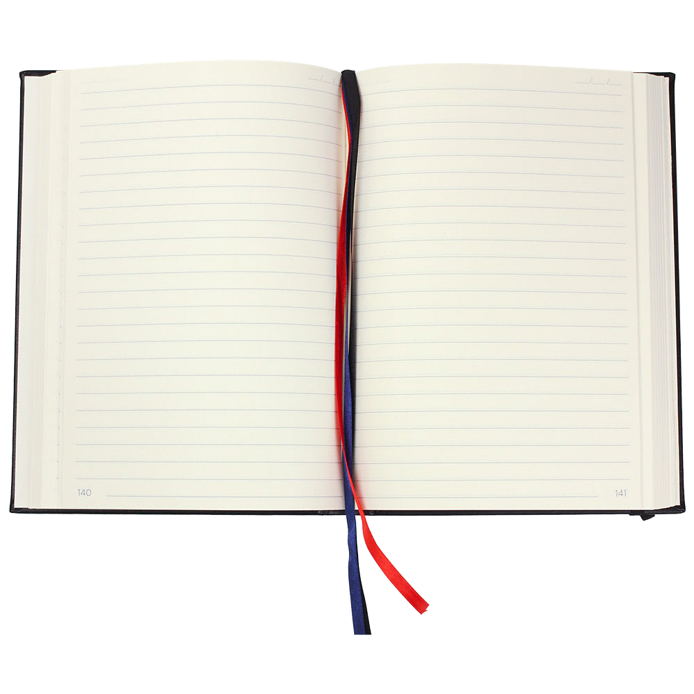 JournalBook Alder 365 Page Diary