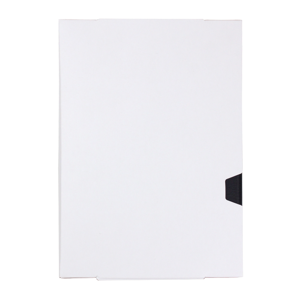 JournalBook Alder 365 Page Diary