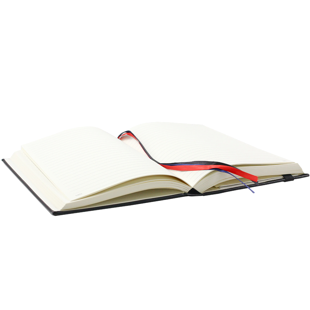 JournalBook Alder 365 Page Diary