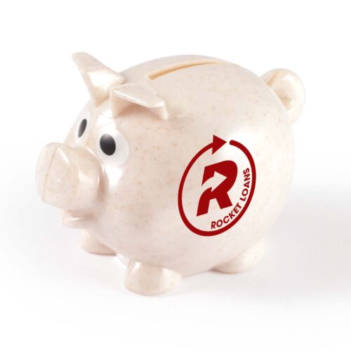 World’s Smallest Pig Eco Coin Bank