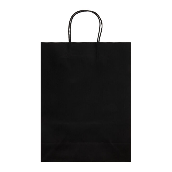 Express Paper Bag Large