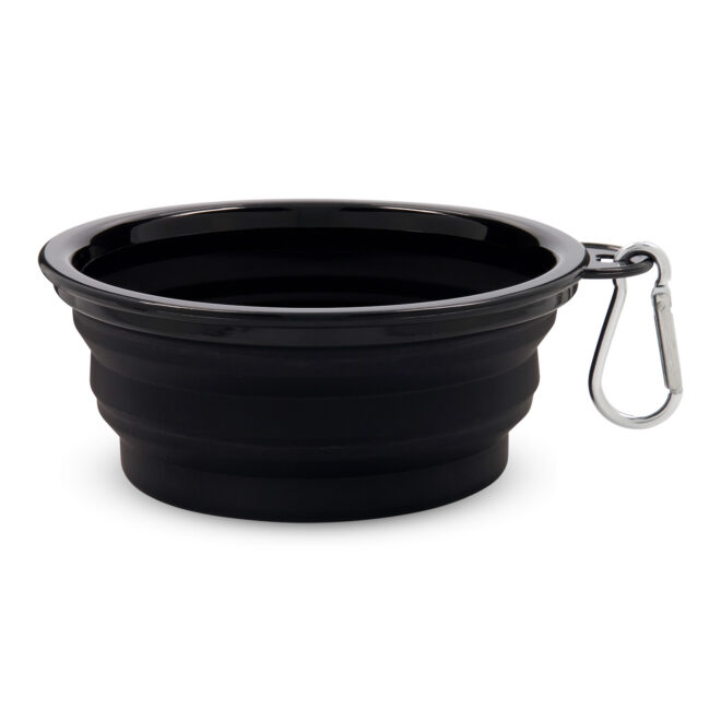 Buddy Collapsible Bowl