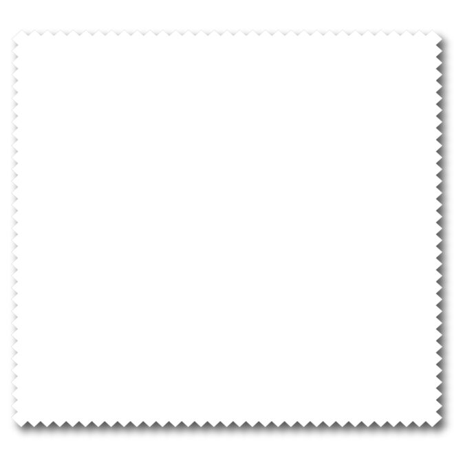 Screen Cleaning Kit