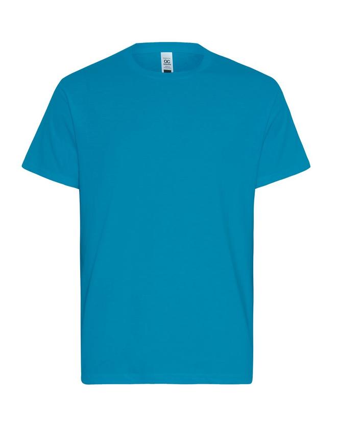 Mens Essential T-Shirt