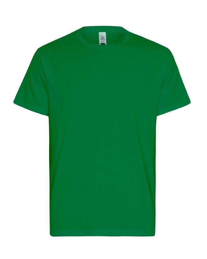 Mens Essential T-Shirt