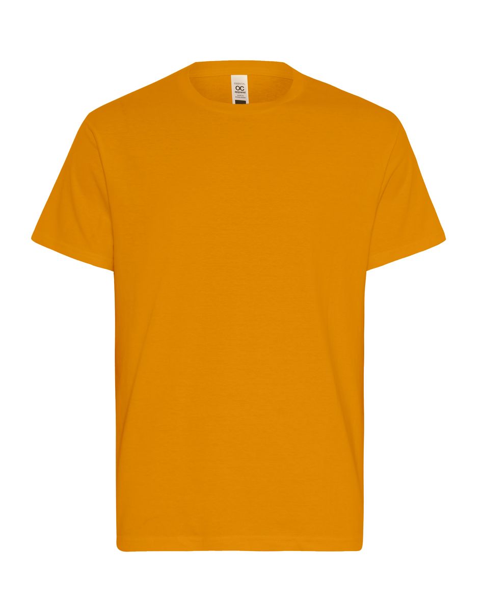 Mens Essential T-Shirt