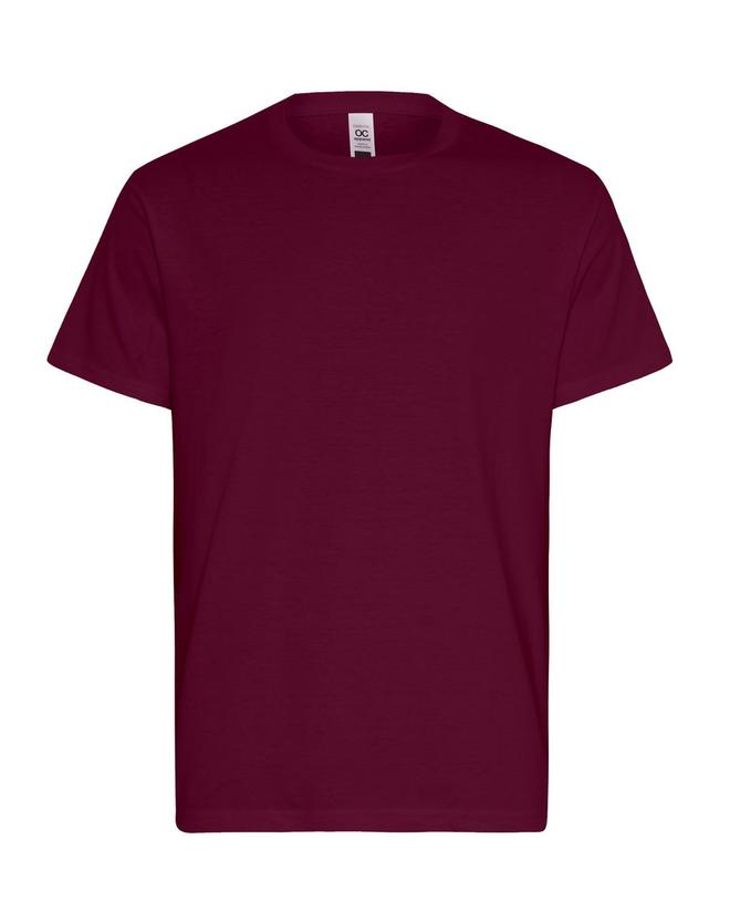 Mens Essential T-Shirt