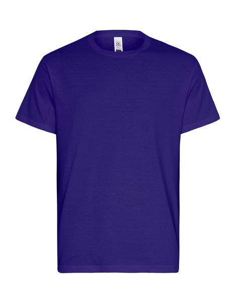 Mens Essential T-Shirt