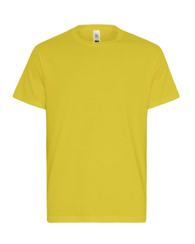Mens Essential T-Shirt