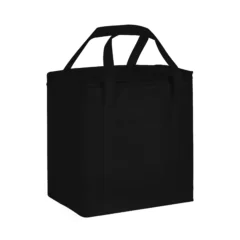 20 Litre Non Woven Cooler Bag