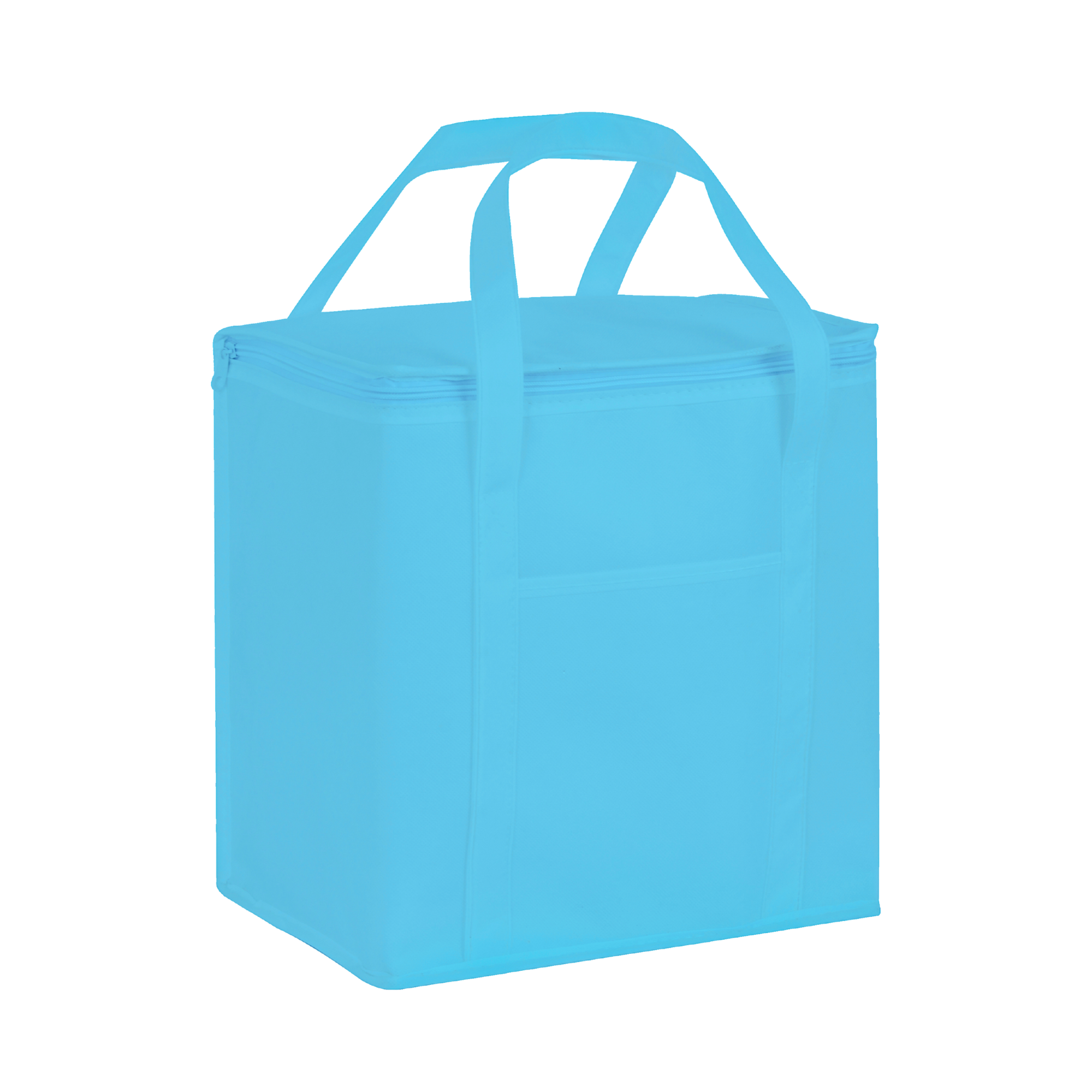20 Litre Non Woven Cooler Bag