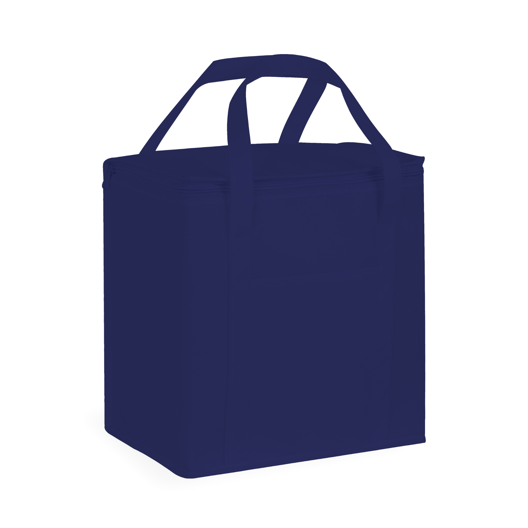 20 Litre Non Woven Cooler Bag