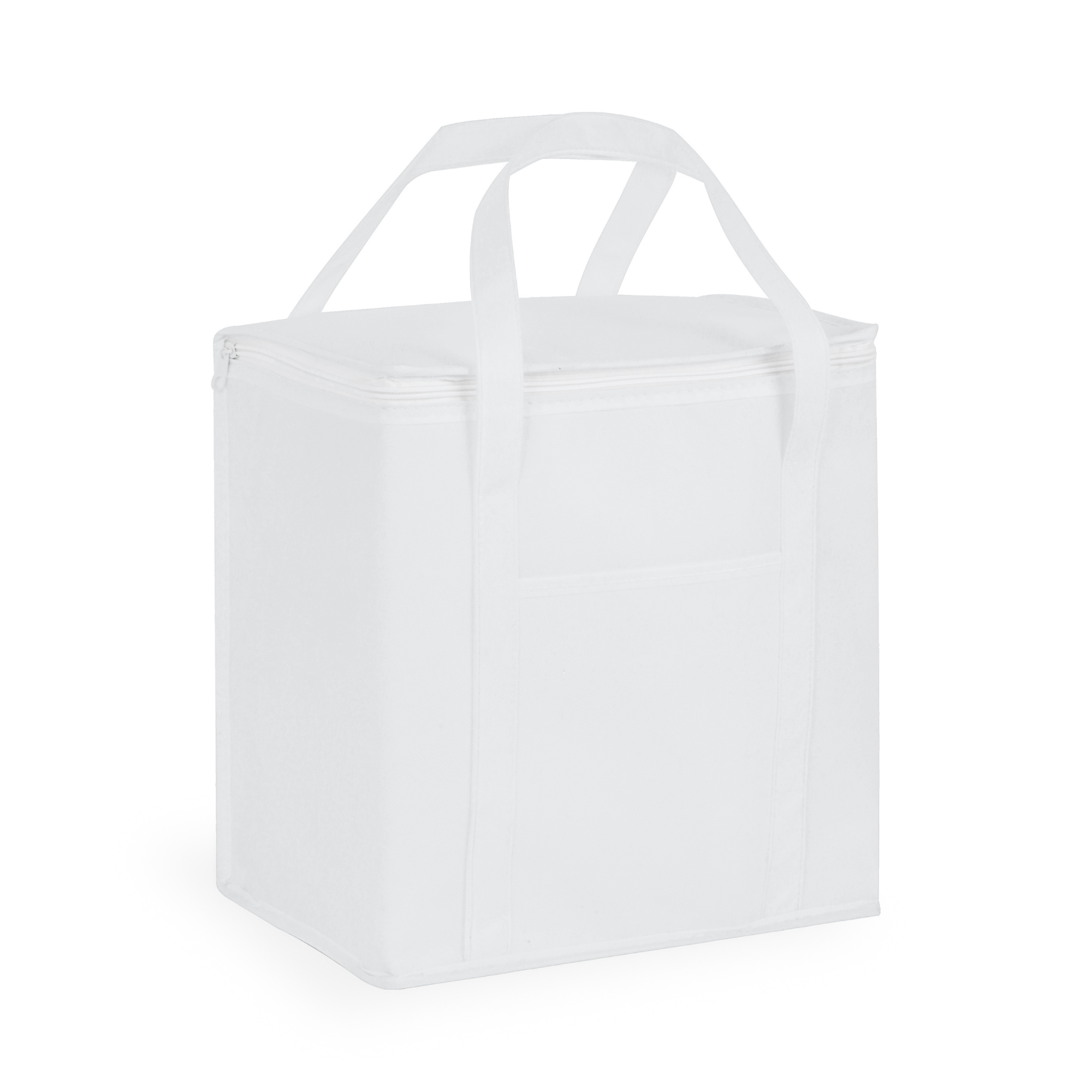 20 Litre Non Woven Cooler Bag