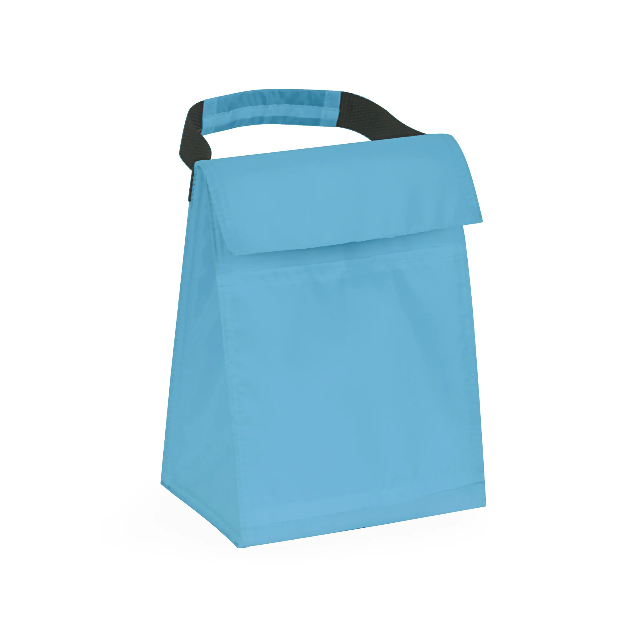 Budget Cooler Bag With Grip